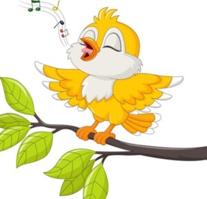 birdonbranch