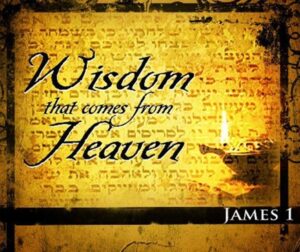 wisdom
